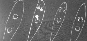 💍4 NEW SETS SILVER JEWERLY NECKLACE RING EARRINGS